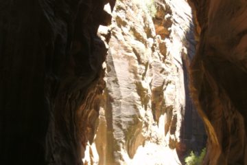 Walking the Zion Narrows