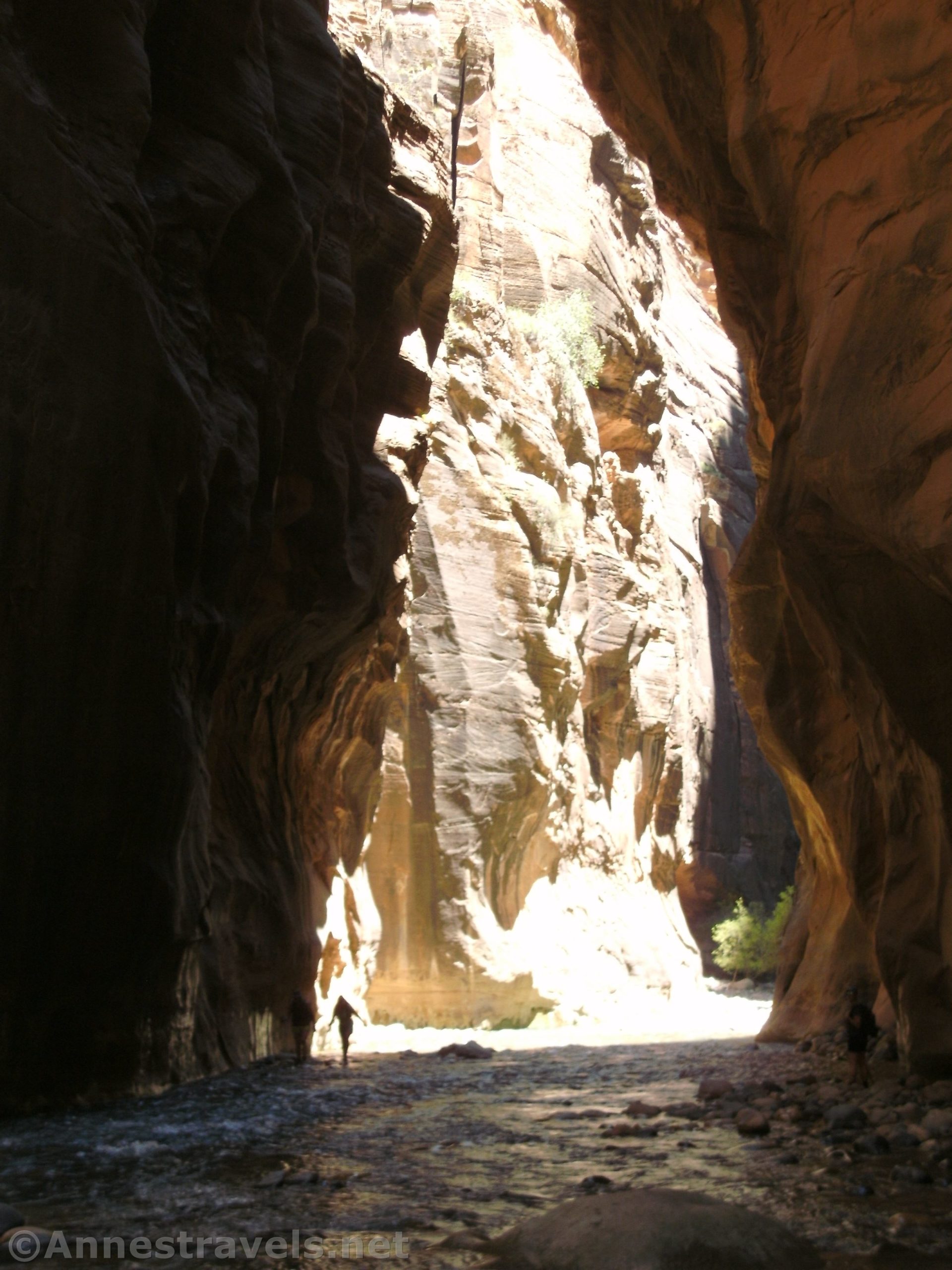 Entering the shadows of the Zion Narrows in Zion National Park, Utah