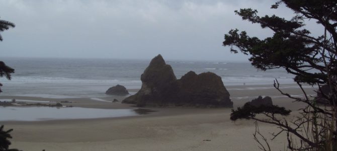 A Misty Morning Stroll on Arcadia Beach