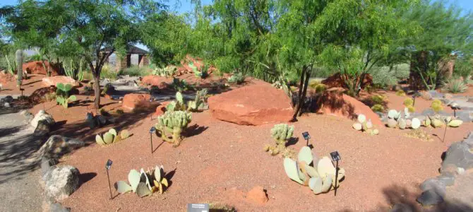 Early Morning at St. George’s Red Hills Desert Garden