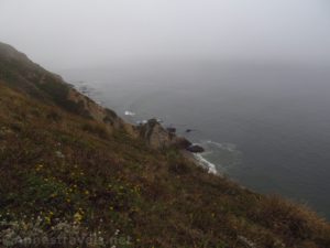 Views down on a beach at Point Reyes National Seashore, California