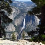 Yosemite Falls framed by pines en route to Sentinel Dome in Yosemite National Park, California