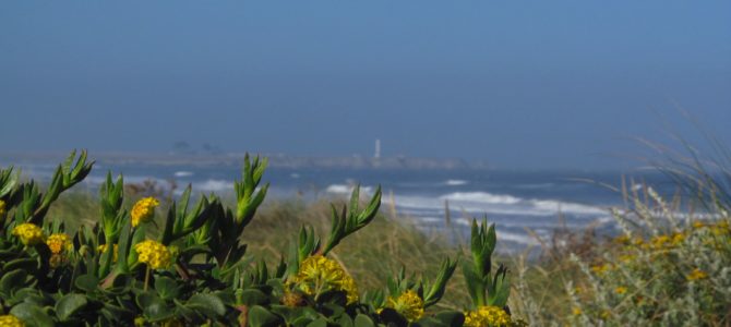 Solitude at Manchester Beach State Park