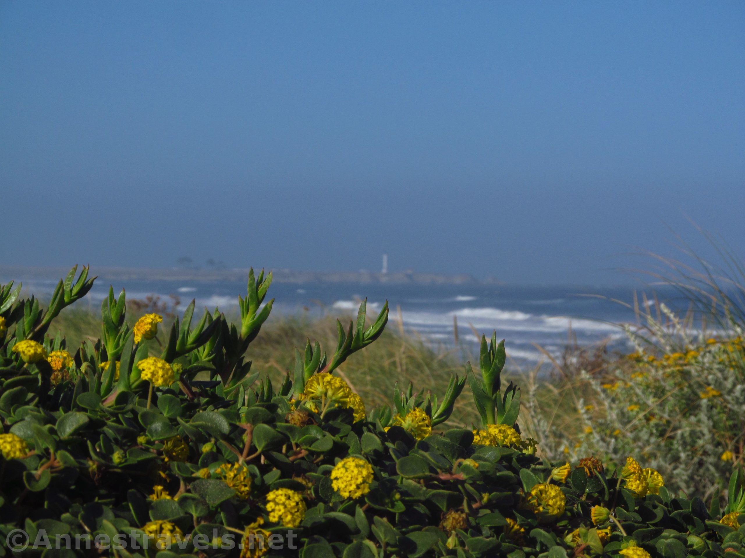 Solitude at Manchester Beach State Park