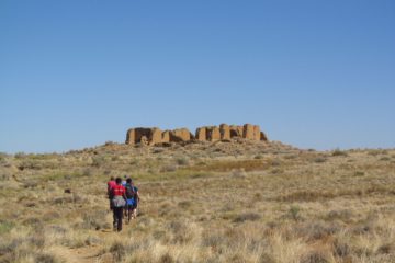 Pueblos, Lizards, and More on the Pueblo Alto Loop