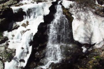 Discovering Williams Falls