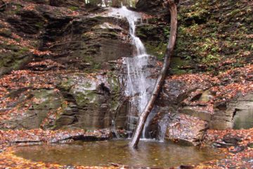 Autumn in Barnes Gully to Barnes Falls