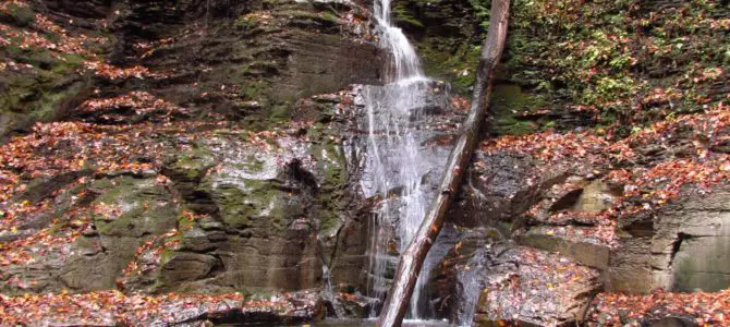 Autumn in Barnes Gully to Barnes Falls