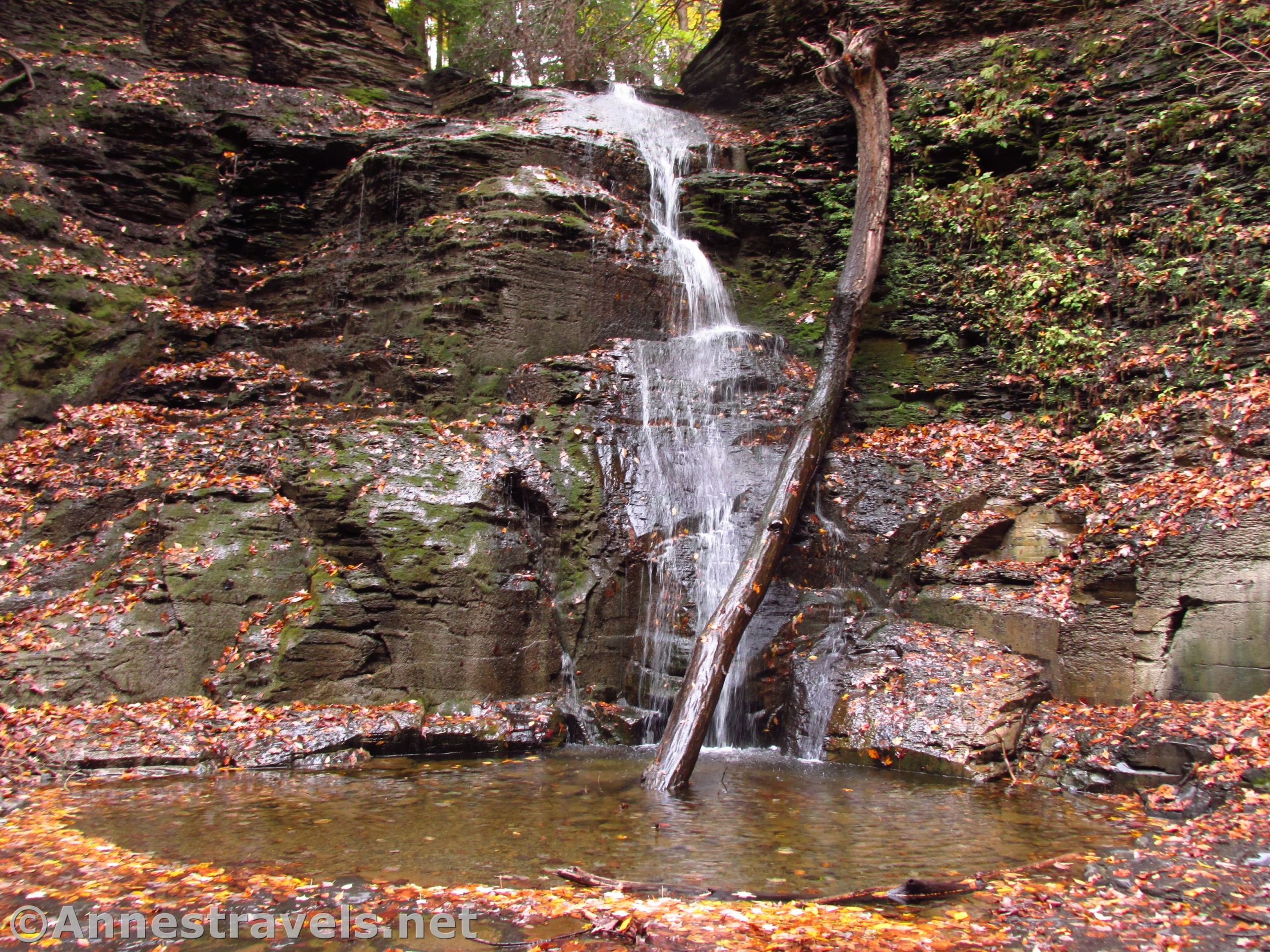 The the third Barnes Falls in Barnes Gully, Onanda Park in the Finger Lakes of New York
