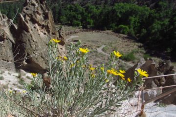 Climbing Ladders into Caves on Bandelier’s Main Loop