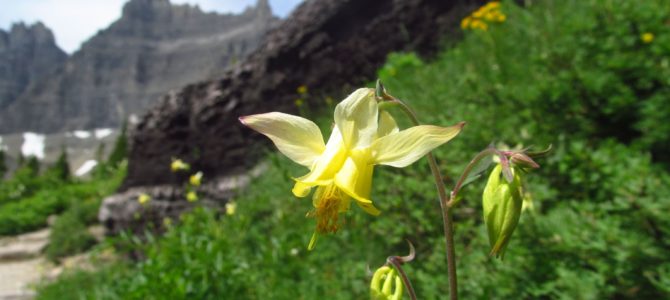 Sneak Peak: The Beauty of Western Montana!