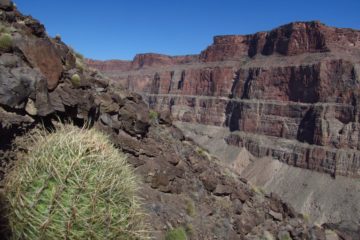 The Lava Falls Trail has Changed in 13 Years!