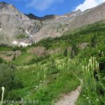 The Swiftcurrent Pass Trail just above Swiftcurrent Creek in the Swiftcurrent Amphitheater, Glacier National Park, Montana