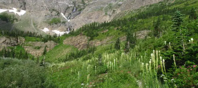 The Swiftcurrent Amphitheater – So Spectacular!