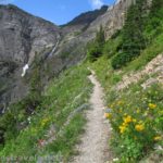Hiking the Swiftcurrent Pass Trail up through the Swiftcurrent Amphitheater, Glacier National Park, Montana