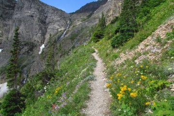 Swiftcurrent Lookout – So Long a Hike, So Worth It!