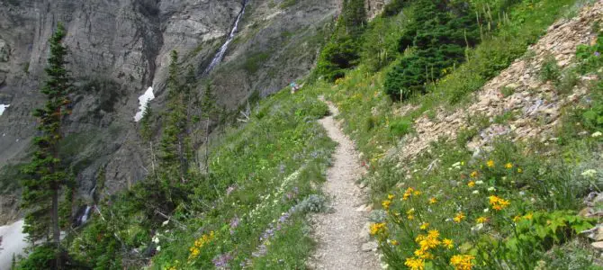 Swiftcurrent Lookout – So Long a Hike, So Worth It!