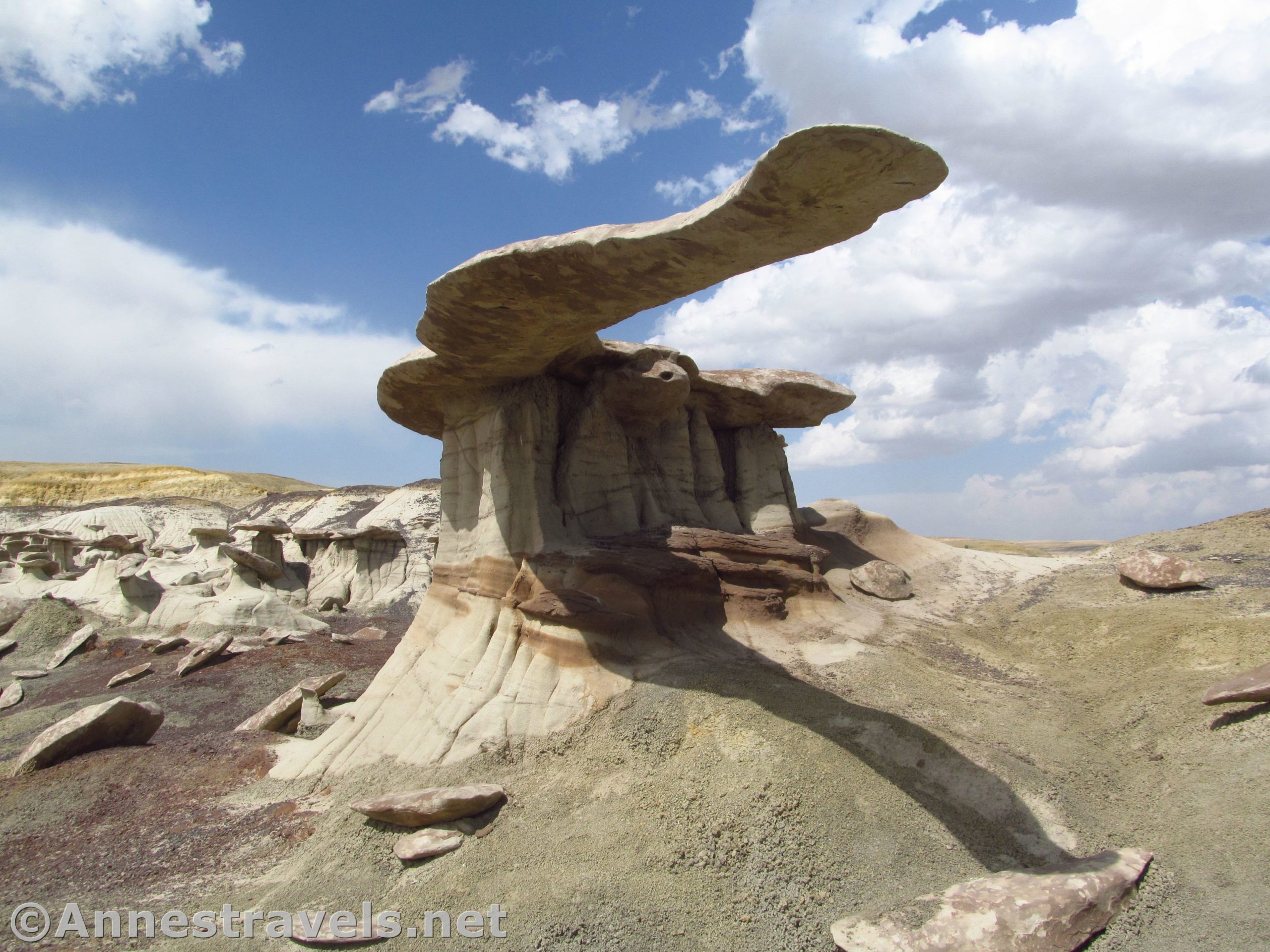 Standing almost under the King of Wings, Ah-Shi-Sle-Pah Wilderness, New Mexico
