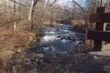 A Winter Afternoon at Philbrick Park