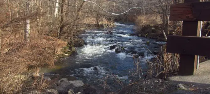 A Winter Afternoon at Philbrick Park