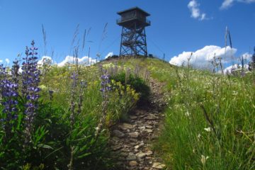 Berray Mountain West: Lookout & Wildflowers