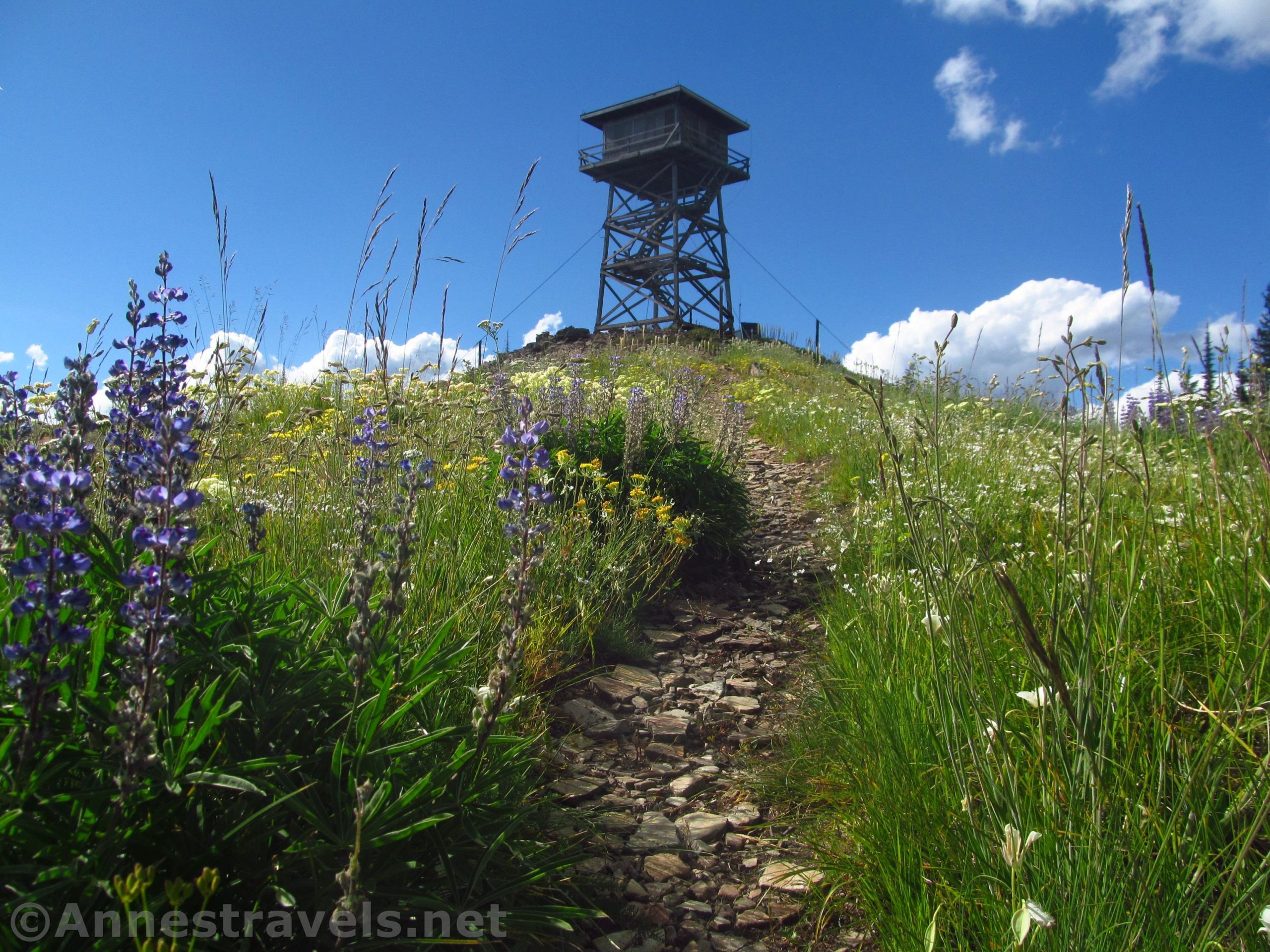 The trail to the Berray Mountain Lookout, Cabinet Mountains Wilderness, Montana