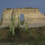 Small Soapweed Flowers in front of the Keyhole arch in Monument Rocks National Natural Landmark, Kansas