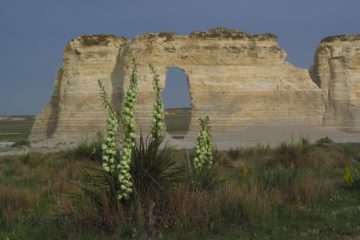 Visit Kansas’ “Chalk Pyramids” at Monument Rocks!