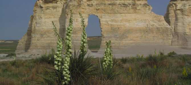 Visit Kansas’ “Chalk Pyramids” at Monument Rocks!