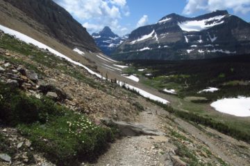 Spectacular Views near Siyeh Pass!