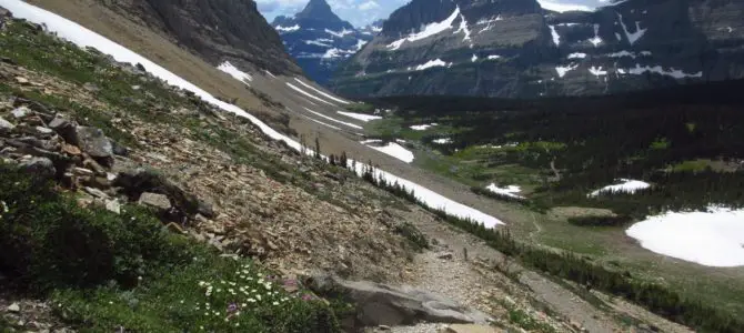 Spectacular Views near Siyeh Pass!