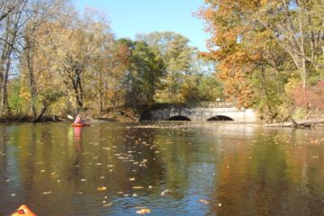 Kayaking Black Creek: Genesee River to 4.9 Miles