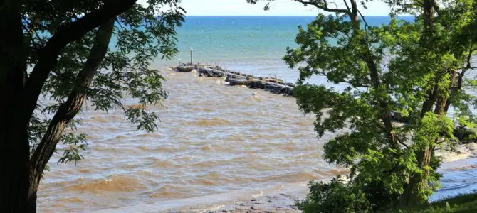 The Best Hikes in Webster Park – Short, Easy Loop