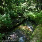 West Creek in Webster Park, New York