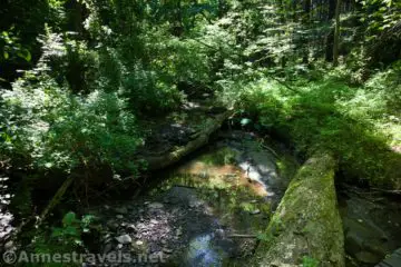 The Best Hike in Webster Park – the Grand Tour