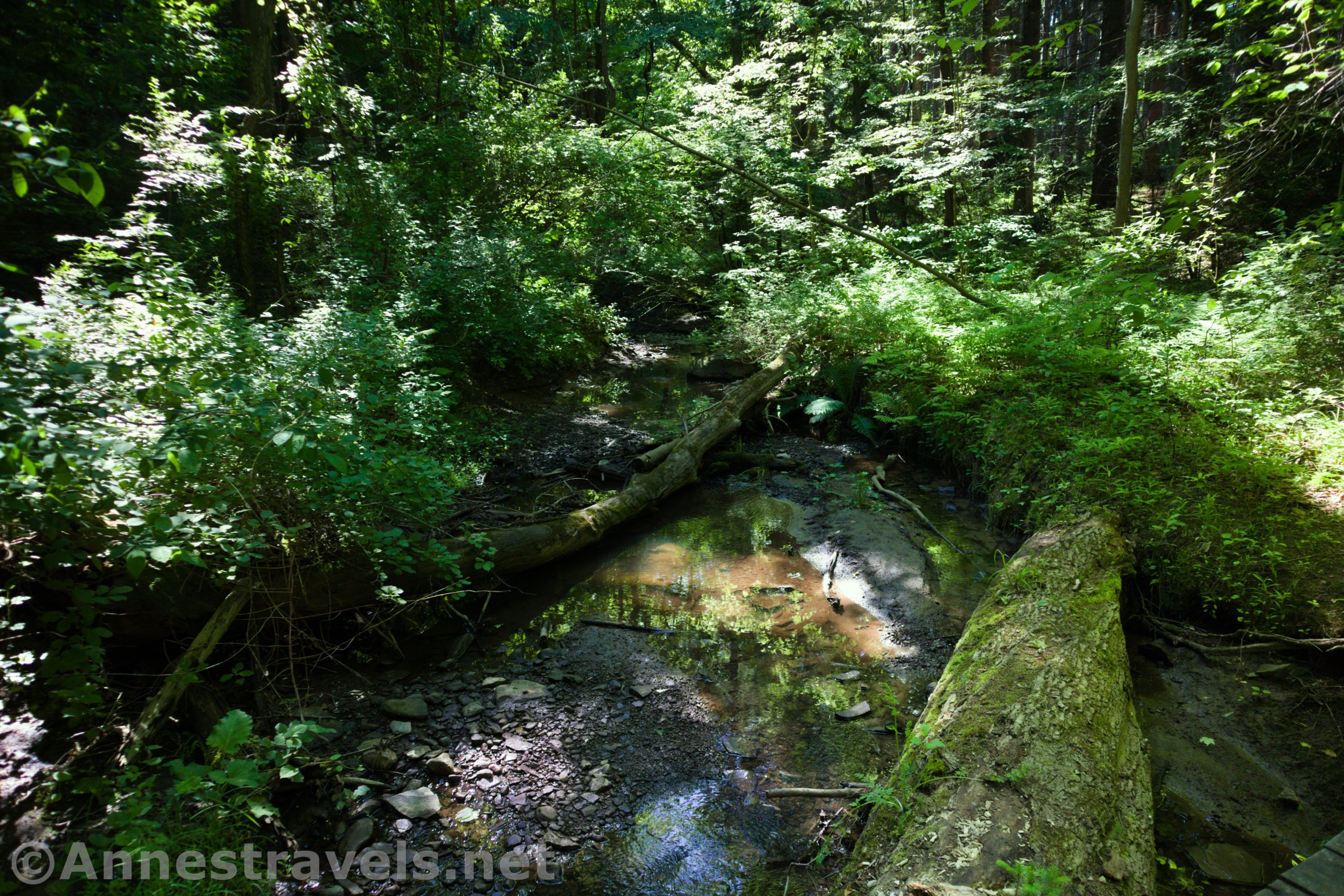 West Creek in Webster Park, New York