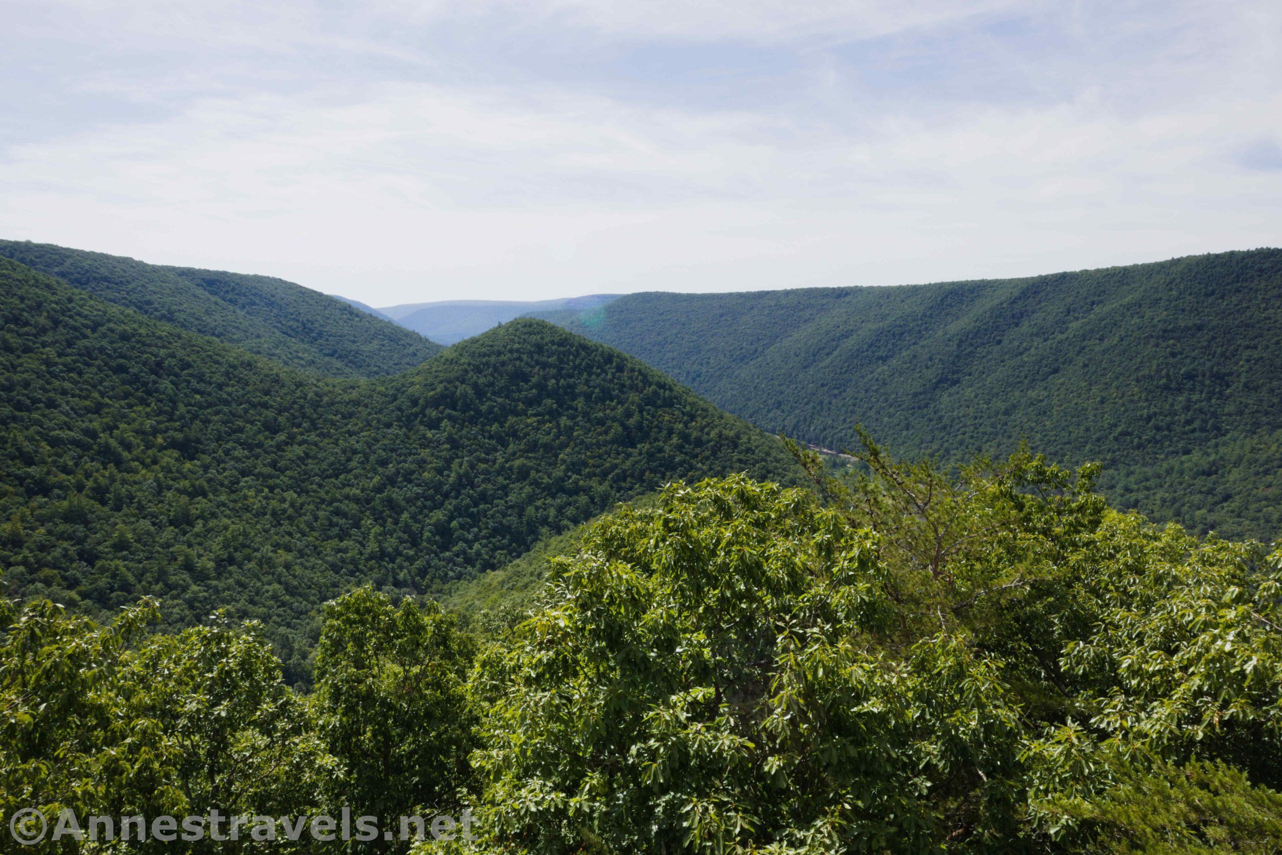 Views from the Raven's Horn Viewpoint on the Golden Eagle Trail, Tiadaghton State Park, Pennsylvania