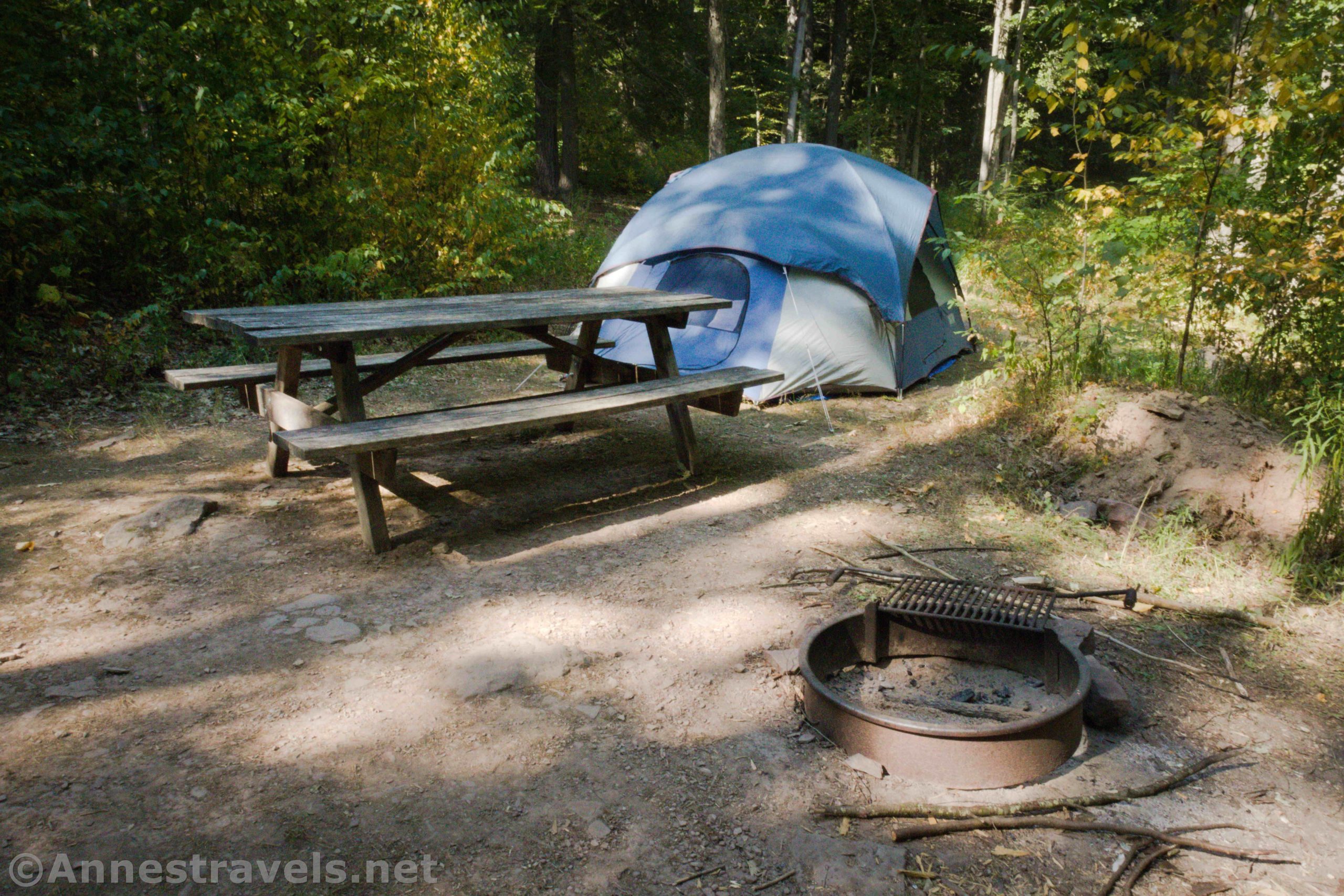 Primitive campsite in Tiadaghton State Forest, Pennsylvania