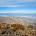 Views of Death Valley from Wildrose Peak, Death Valley National Park, California