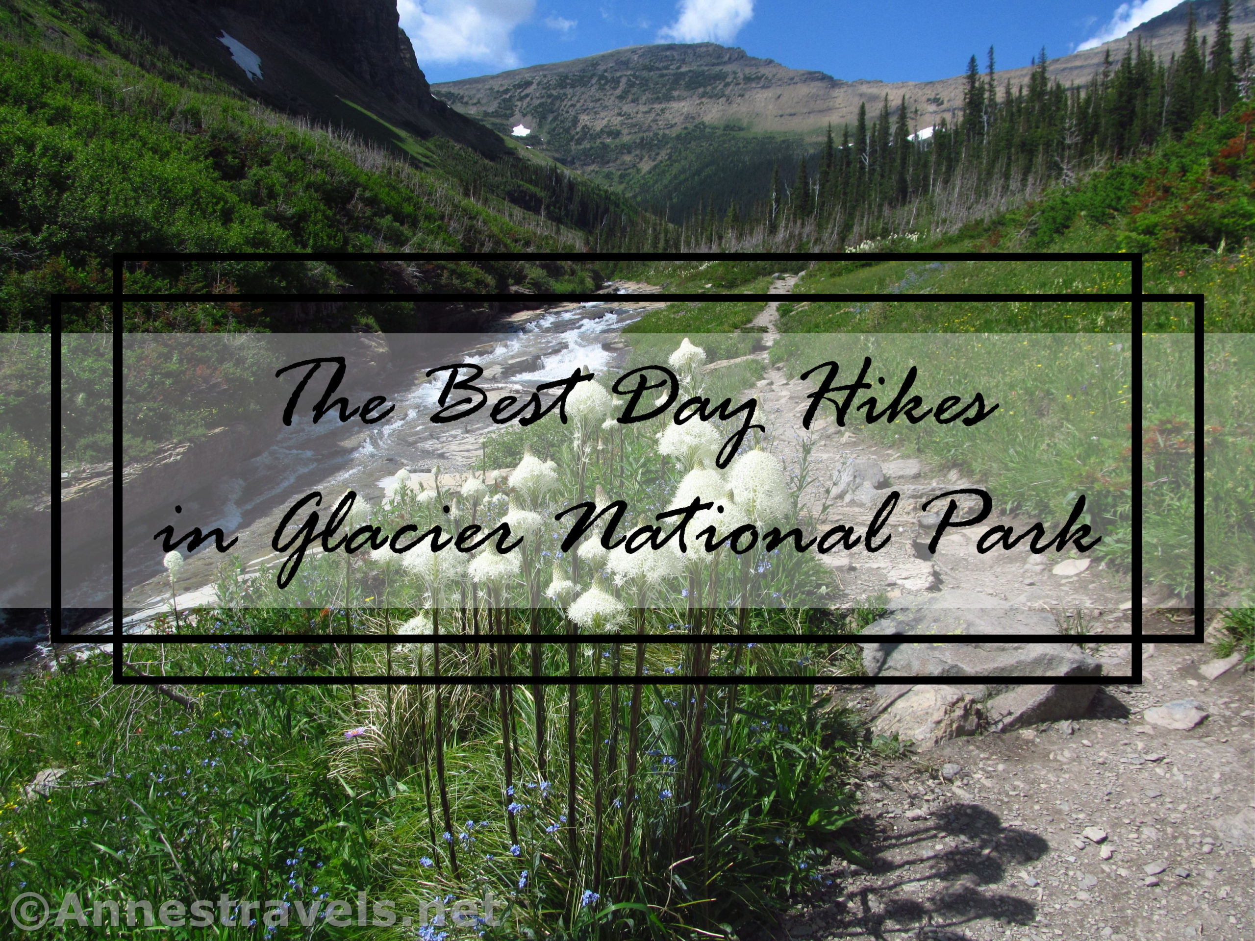 The best day hikes in Glacier National Park, Montana