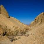 A spire and creosote bushes part way up 20 Mule Team Canyon, Death Valley National Park, California