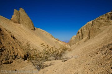 Adventuring up 20 Mule Team Canyon