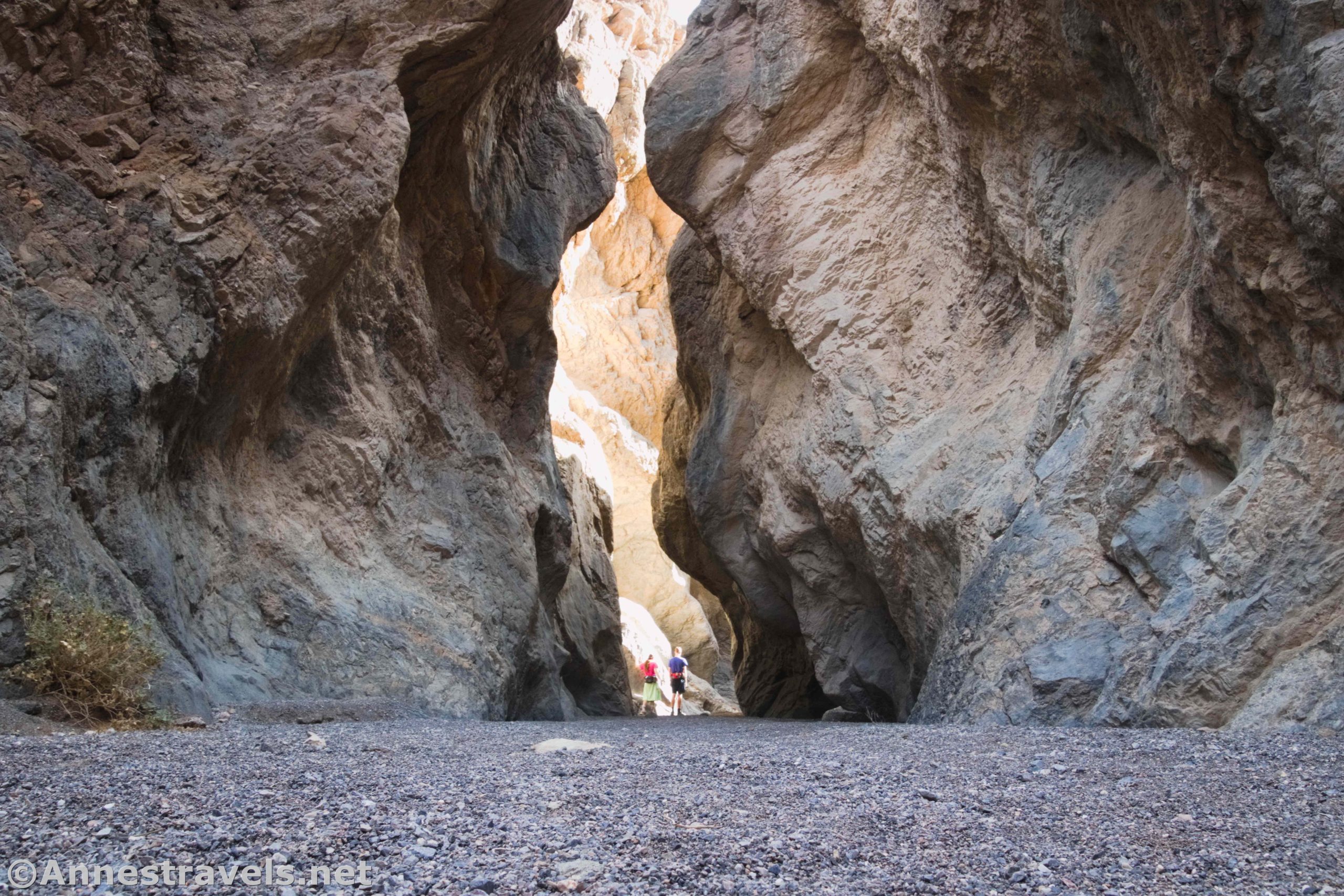 Grotto Canyon: Dryfalls And Other Excitement Grotto Canyon: Dryfalls And Other Excitement