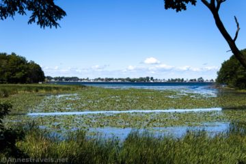 Waterfall & Sodus Bay Views on the Bentley Bond’s Trail