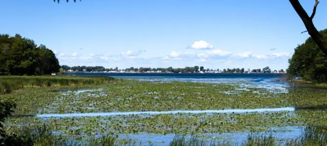 Waterfall & Sodus Bay Views on the Bentley Bond’s Trail