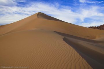 A Beautiful Evening at the Ibex Dunes!