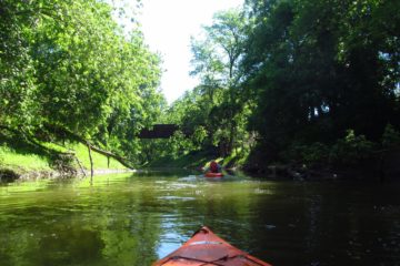 Kayaking Honeoye Creek: Genesee River to I-390