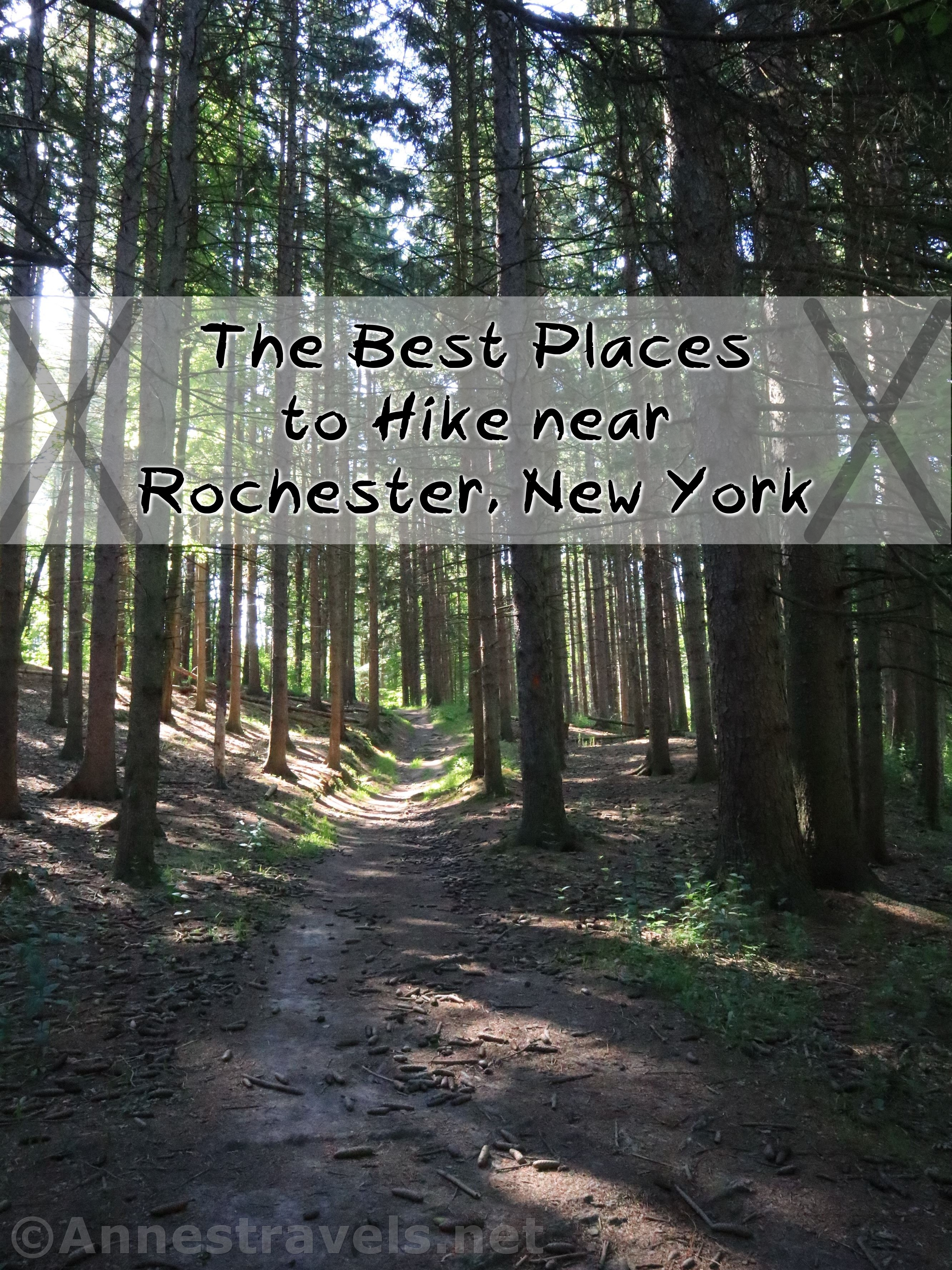 One of the best hikes near Rochester, New York, is in Webster Park
