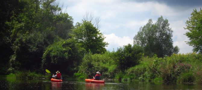 Paddling Black Creek: Churchville to the Genesee River