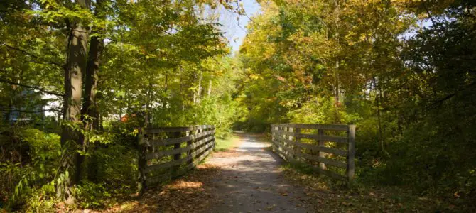 Biking the Catharine Valley Trail Biking the Catharine Valley Trail